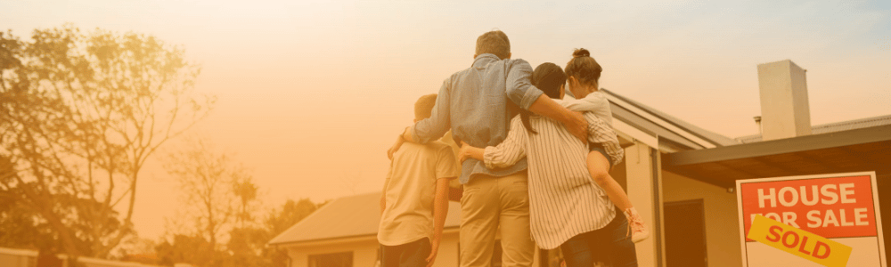 Furniture Removal Companies in Port Elizabeth – Compare Moving Quotes on Movers Magnet